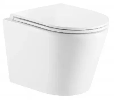 Унитаз подвесной Azario Fonti белый, с сиденьем микролифт (AZ-402W)