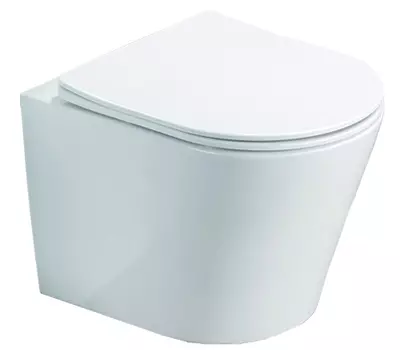 Унитаз подвесной Azario Teramo белый (AZ-0053 SP)