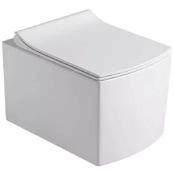 Унитаз подвесной Black&amp;White Universell 51 белый с сиденьем микролифт