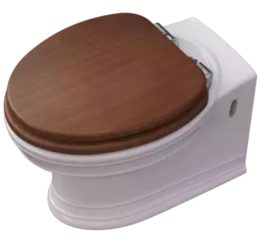 Унитаз подвесной Caprigo Armonia с сиденьем микролифт, белый