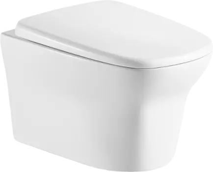 Унитаз подвесной Cerutti SPA Ami Aria 8780 с сиденьем микролифт, белый