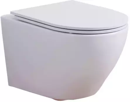 Унитаз подвесной Esbano Azalea с сиденьем микролифт, белый матовый (ESUPAZALWM)