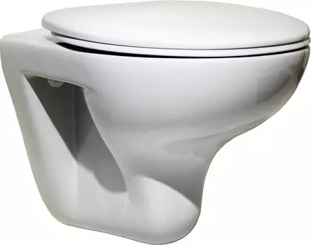 Унитаз подвесной Roca Mateo с сиденьем ZRU9302822 с микролифтом