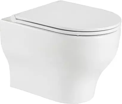 Унитаз подвесной Weltwasser Erlenbach 004 с сиденьем микролифт, белый