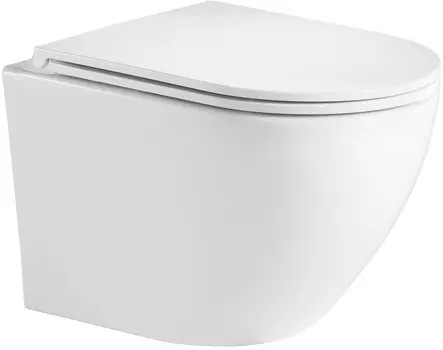 Унитаз подвесной Weltwasser WW Merzbach 004MT-WT безободковый, с микролифтом, белый матовый