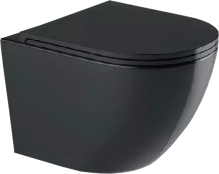 Унитаз подвесной Weltwasser WW Merzbach 043 GL-BL безободковый, с микролифтом, черный глянец