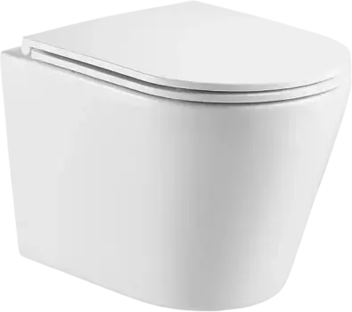 Унитаз подвесной Weltwasser Salzbach 043 с сиденьем микролифт, белый