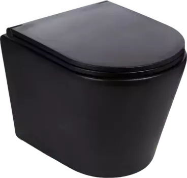 Унитаз подвесной Weltwasser WW SK Salzbach 043 MT-BL безободковый, с микролифтом, черный матовый