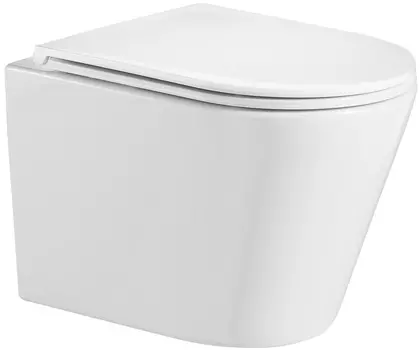 Унитаз подвесной Weltwasser WW SK Salzbach 004GL-WT безободковый, с микролифтом, белый глянец