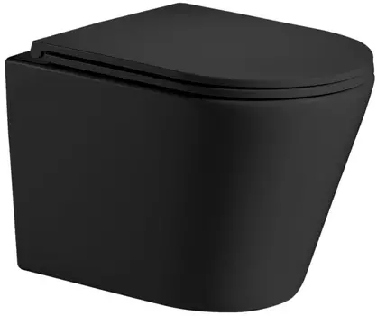 Унитаз подвесной Weltwasser WW SALZBACH 004 MT-B безободковый с микролифтом черный матовый (10000003700)