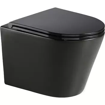 Унитаз подвесной WeltWasser WW SALZBACH 041 MT-BL безободковый с микролифтом черный матовый (10000008258)