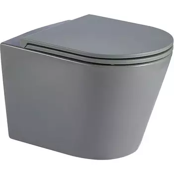 Унитаз подвесной WeltWasser Salzbach 041 с сиденьем микролифт, серый матовый