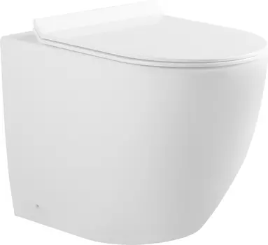 Унитаз приставной Aquanet Cetus-F