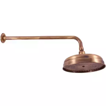 Верхний душ Rav Slezak 20х20 бронза