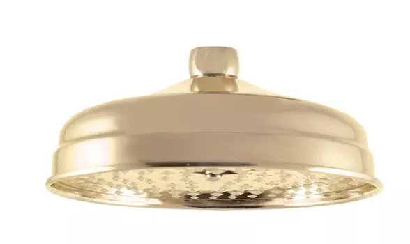 Верхний душ Rav Slezak 20х20 золото