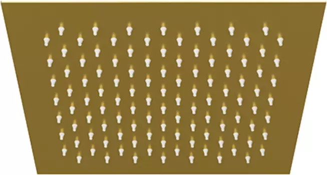 Верхний душ Wasserkraft Aisch A198