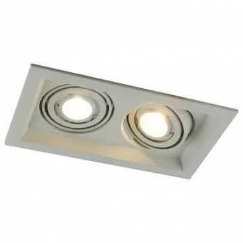 Встраиваемый светильник Arte Lamp A6661PL-2WH