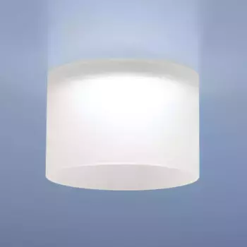 Встраиваемый светильник Elektrostandard 2052 MR16 MT матовый a043143