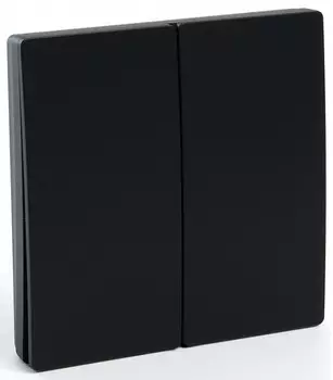 Выключатель двухклавишный беспроводной Feron Smart черный TM82 41723