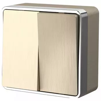 Выключатель двухклавишный Werkel Gallant шампань рифленый W5020010 4690389164149