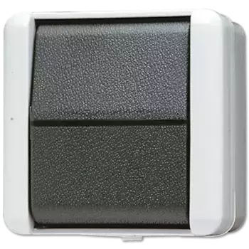 Выключатель одноклавишный Jung 806W