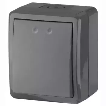 Выключатель одноклавишный с подсветкой ЭРА Эксперт 10AX 250V IP54 11-1402-03 Б0020672