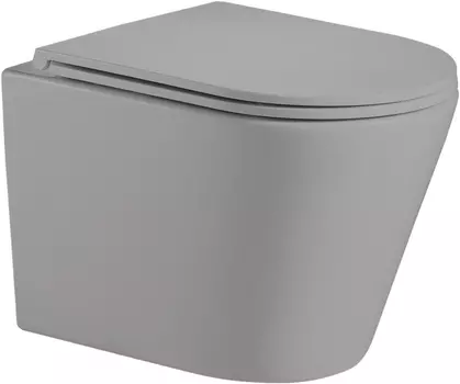 Унитаз подвесной Weltwasser WW SK Salzbach 004MT-GR безободковый с микролифтом серый матовый (10000003767)