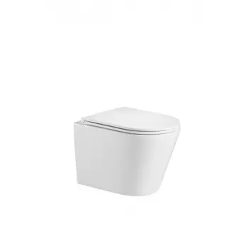 WW SK Арт. SALZBACH 004 MT-WT Унитаз подвесной белый матовый