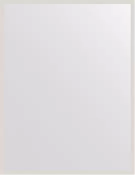 Зеркало Evoform Definite BY 7477 66х86 белое