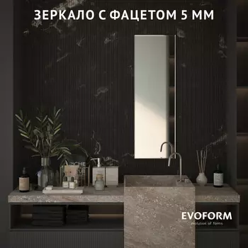 Зеркало Evoform Standard BY 0238 40x120