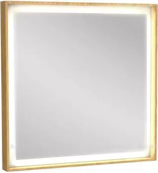 Зеркало Jacob Delafon Rythmik Pure 65 с подсветкой