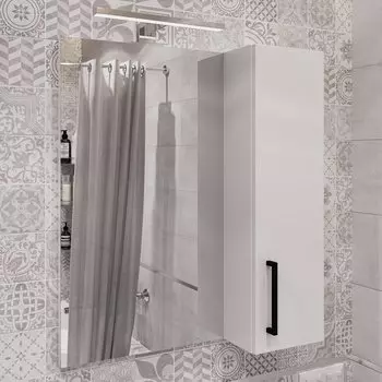 Зеркало-шкаф DIWO Брянск 60 со светильником