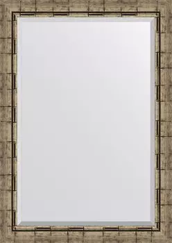 Зеркало Evoform Exclusive BY 1196 73x103 серебряный бамбук