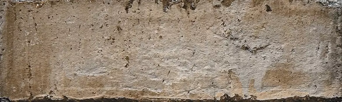 Керамическая плитка Beryoza Ceramica (Береза керамика)