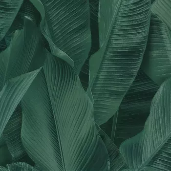 Обои Limonta