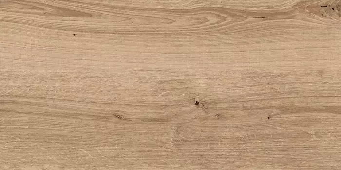 Плитка Cersanit Woodhouse WS4O152D темно-бежевая