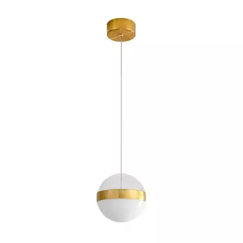 Подвесной светильник Odeon Light RONI 5036/12L