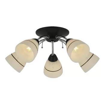 Потолочная люстра Toplight Winnifred TL1255D-05BC