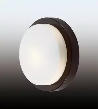 Потолочный светильник Odeon Light Holger 2744/1C