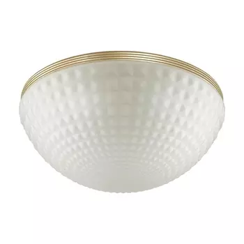 Потолочный светильник Odeon Light Malaga 4936/4C