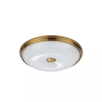 Потолочный светильник Odeon Light Pelow 4956/4