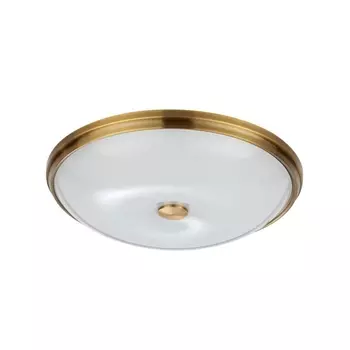Потолочный светильник Odeon Light Pelow 4956/5