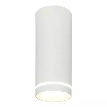 Потолочный светодиодный светильник Escada 20009SMU/02LED SWH