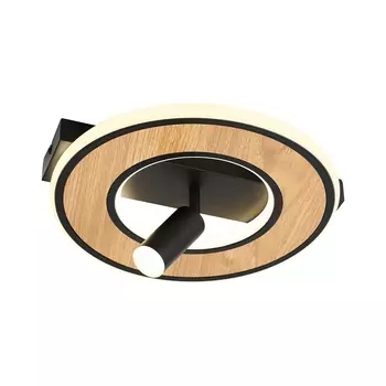 Потолочный светодиодный светильник F-Promo Olika 4438-1C
