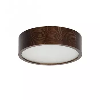 Потолочный светодиодный светильник Kanlux Jasmin 23120 /23120