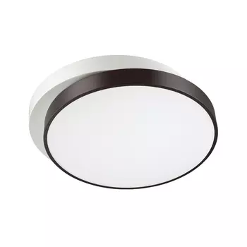 Потолочный светодиодный светильник Lumion Agatha 4509/72CL