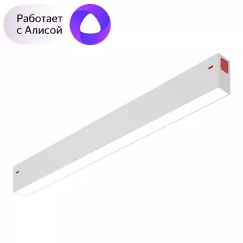 Трековый светодиодный светильник Denkirs DK8004-WH