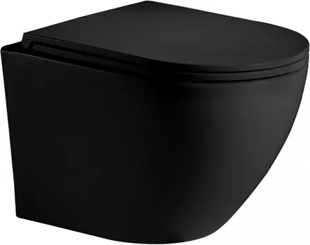 Унитаз подвесной Weltwasser WW Merzbach 043 MT-BL безободковый, с микролифтом, черный матовый 10000009940