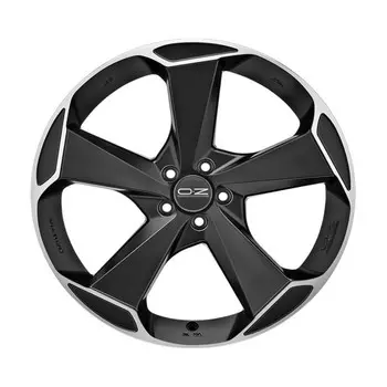 Диск литой OZ