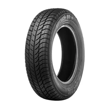 Зимние шины Sava